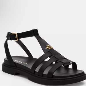 Coach Black Gladiator Sandals with Gold Buckle